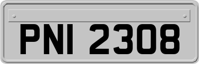 PNI2308