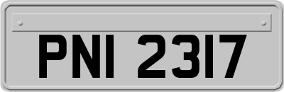 PNI2317
