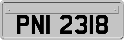 PNI2318