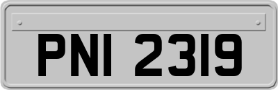 PNI2319