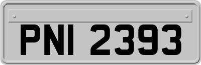 PNI2393