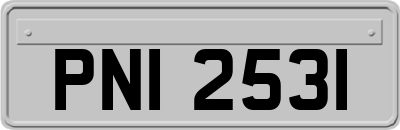PNI2531