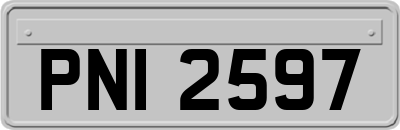 PNI2597