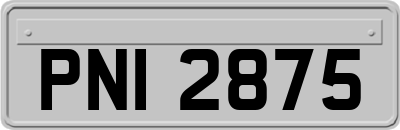 PNI2875