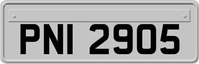 PNI2905