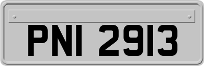 PNI2913