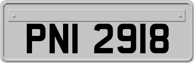 PNI2918