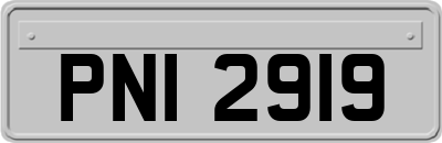 PNI2919
