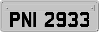 PNI2933