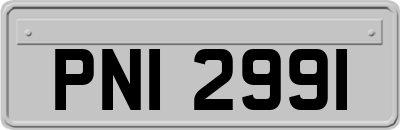 PNI2991