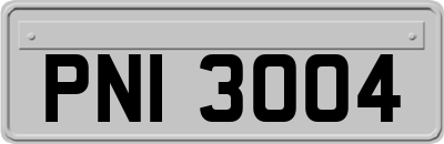 PNI3004