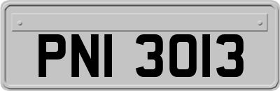PNI3013