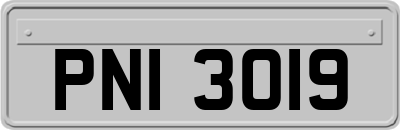 PNI3019