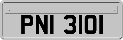 PNI3101