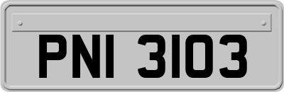 PNI3103