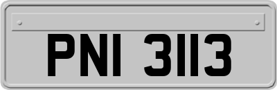 PNI3113