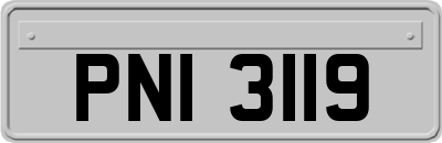 PNI3119