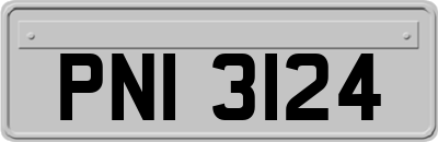 PNI3124