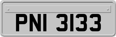 PNI3133