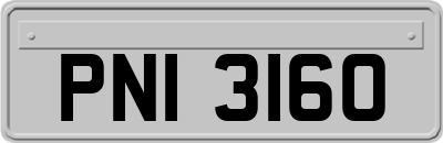 PNI3160