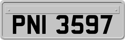 PNI3597
