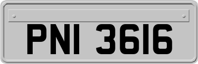 PNI3616