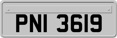 PNI3619