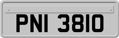 PNI3810