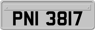 PNI3817