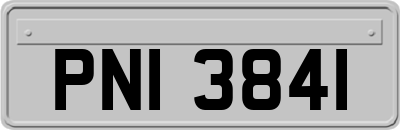 PNI3841