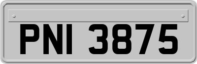 PNI3875