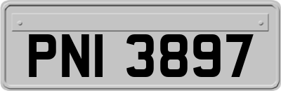 PNI3897