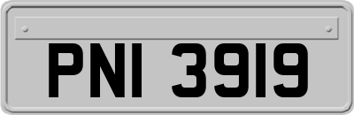 PNI3919