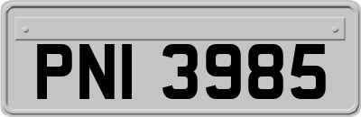 PNI3985