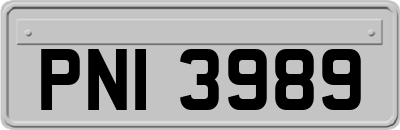 PNI3989