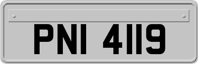 PNI4119