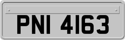 PNI4163