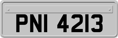 PNI4213