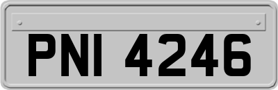 PNI4246