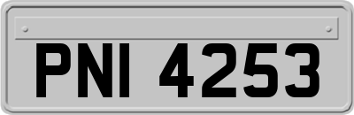 PNI4253