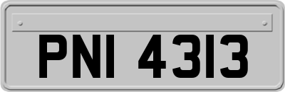 PNI4313
