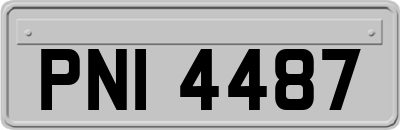PNI4487