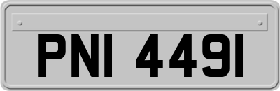 PNI4491