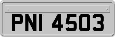 PNI4503