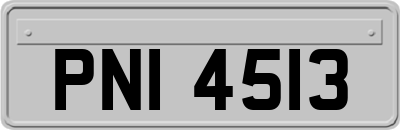 PNI4513