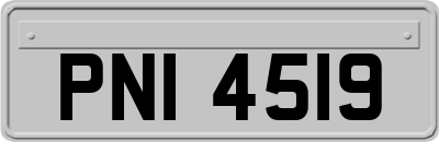 PNI4519