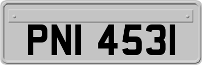 PNI4531