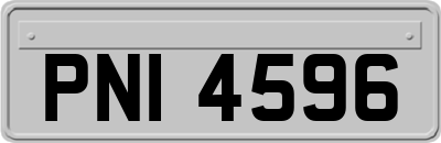 PNI4596