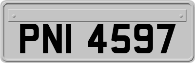 PNI4597