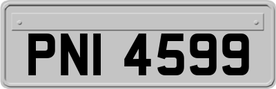 PNI4599